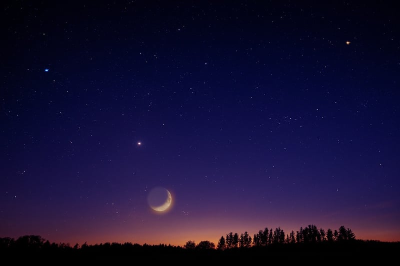 Venus Vouchers